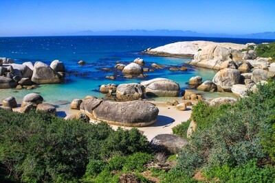 Boulders Beach Canvas Print and Lindt Chocolate Truffles
