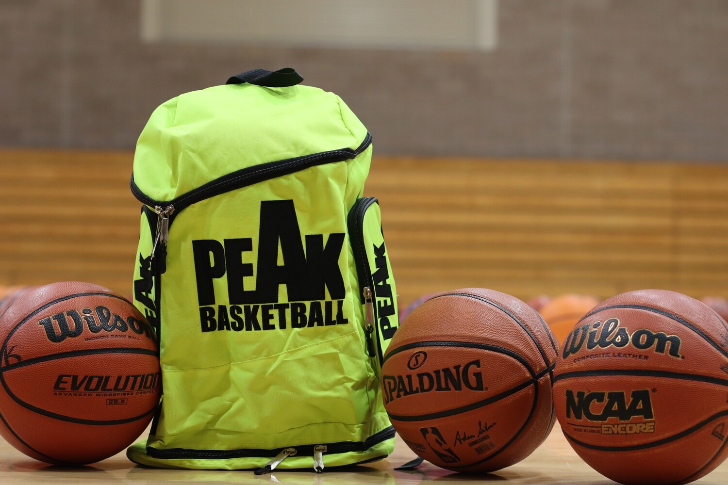 2025 PeAk Back Pack