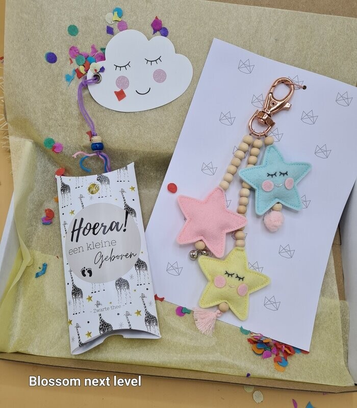  a little star is born  brievenbus cadeau