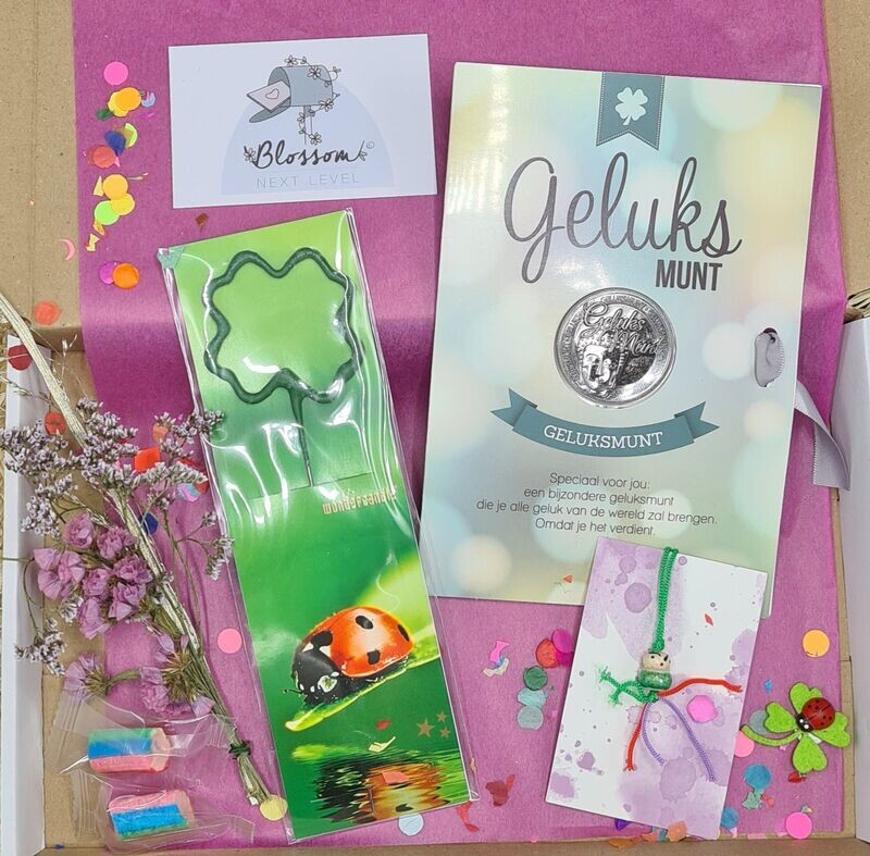 geluks brievenbus cadeau