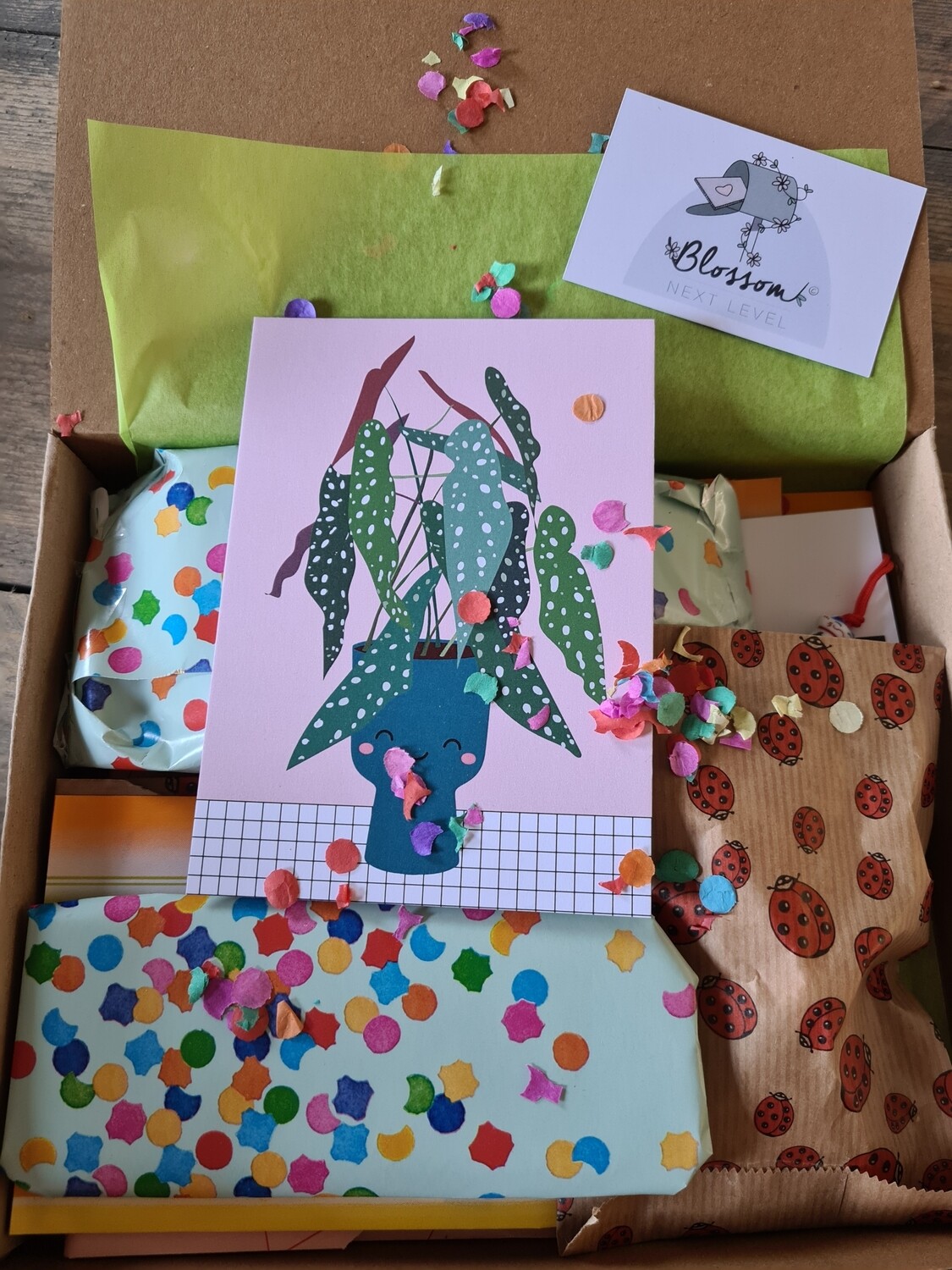 De Mystery  brievenbus cadeau