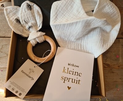 Sweetest baby  brievenbus cadeau