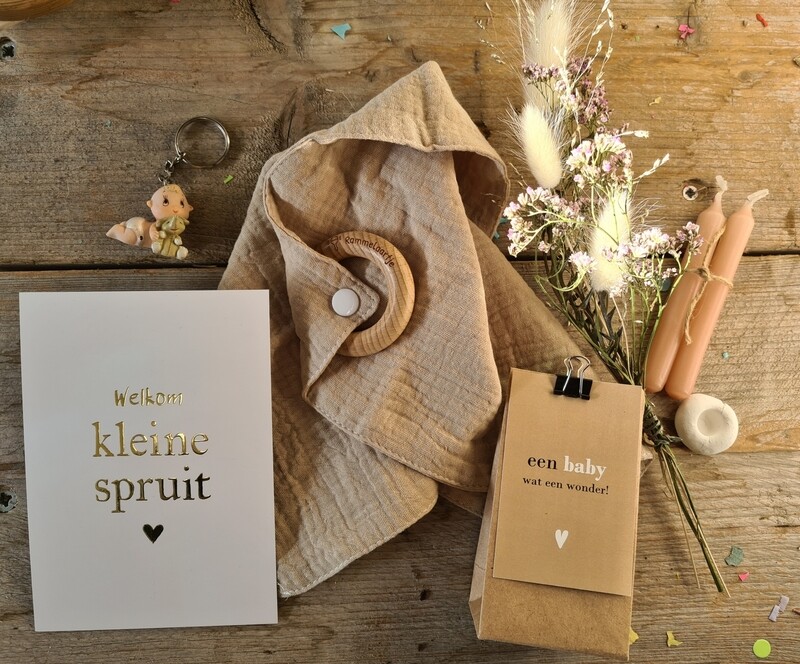 Welkom kleine spruit   baby brievenbus cadeau