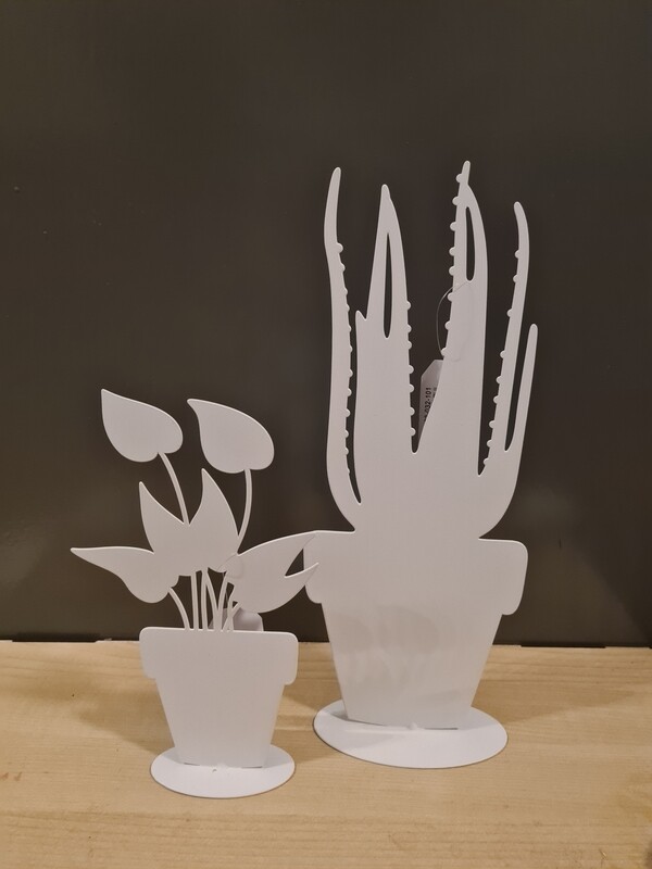 Planten decoratie wit 