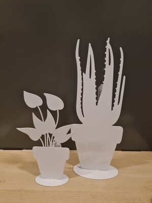 Planten decoratie wit 