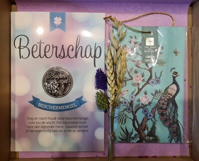 Wordt snel beter beschermengel  munt brievenbus cadeau