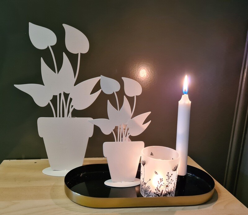 decoratie set planten en glaasje