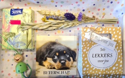 sweet beterschap brievenbus cadeau
