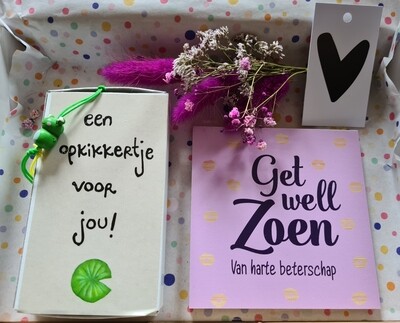 Get well zoen brievenbus cadeau Get well zoen brievenbus cadeau
