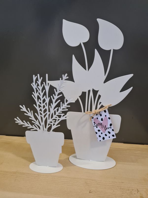 Decoratie planten set