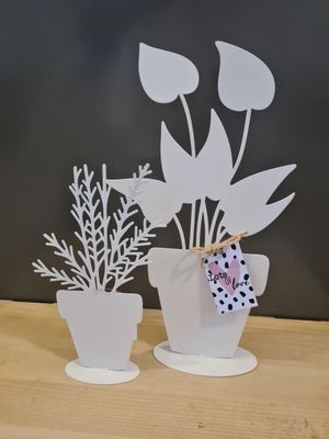 Decoratie planten set