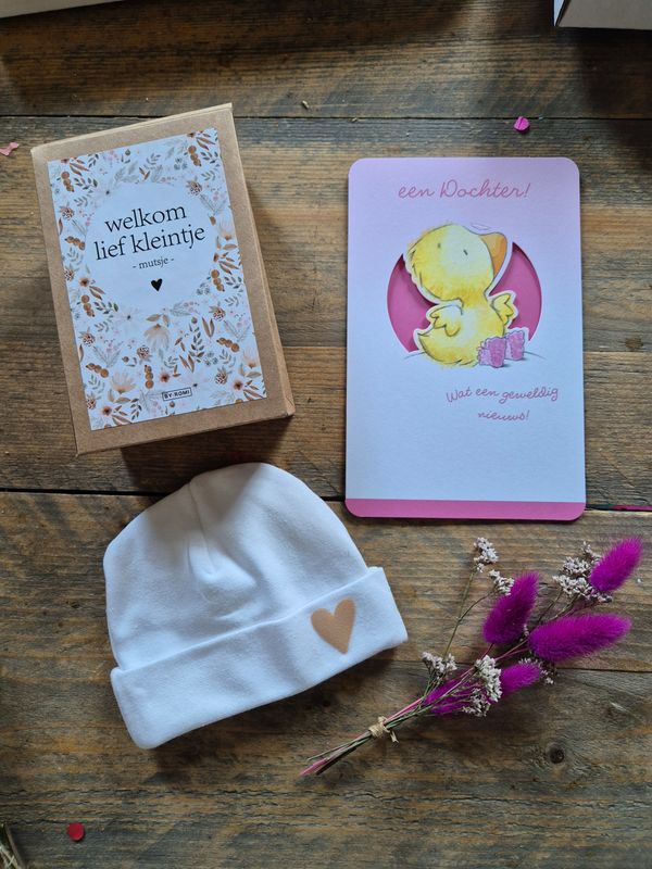 Its a girl brievenbus cadeau