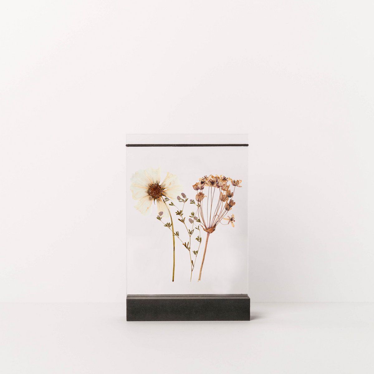 By Woom - dried flower holder- Duurzaam - Natuurlijk Product