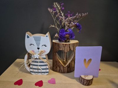 Cat cadeauset