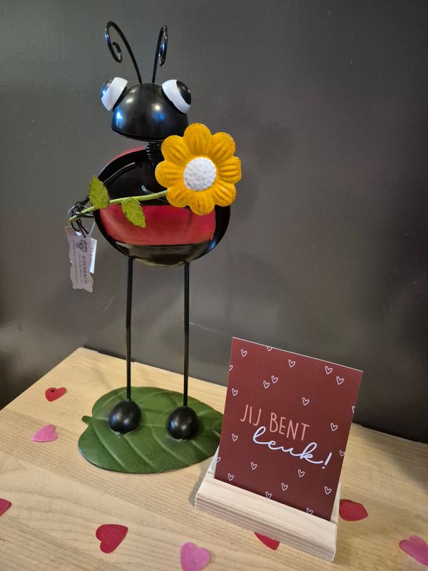 Jij bent leuk cadeau set