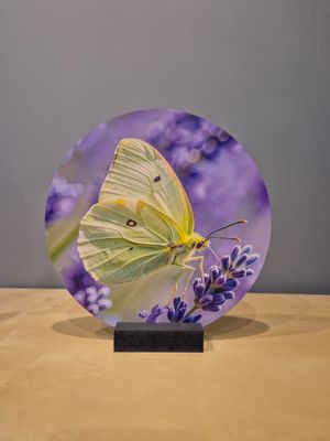 Wooncirkel Citroen vlinder met lavendel