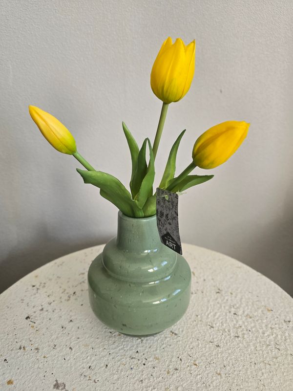 Holland tulp bundel Sally x3 25cm geel