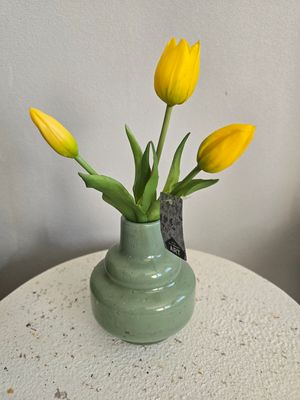 Holland tulp bundel Sally x3 25cm geel