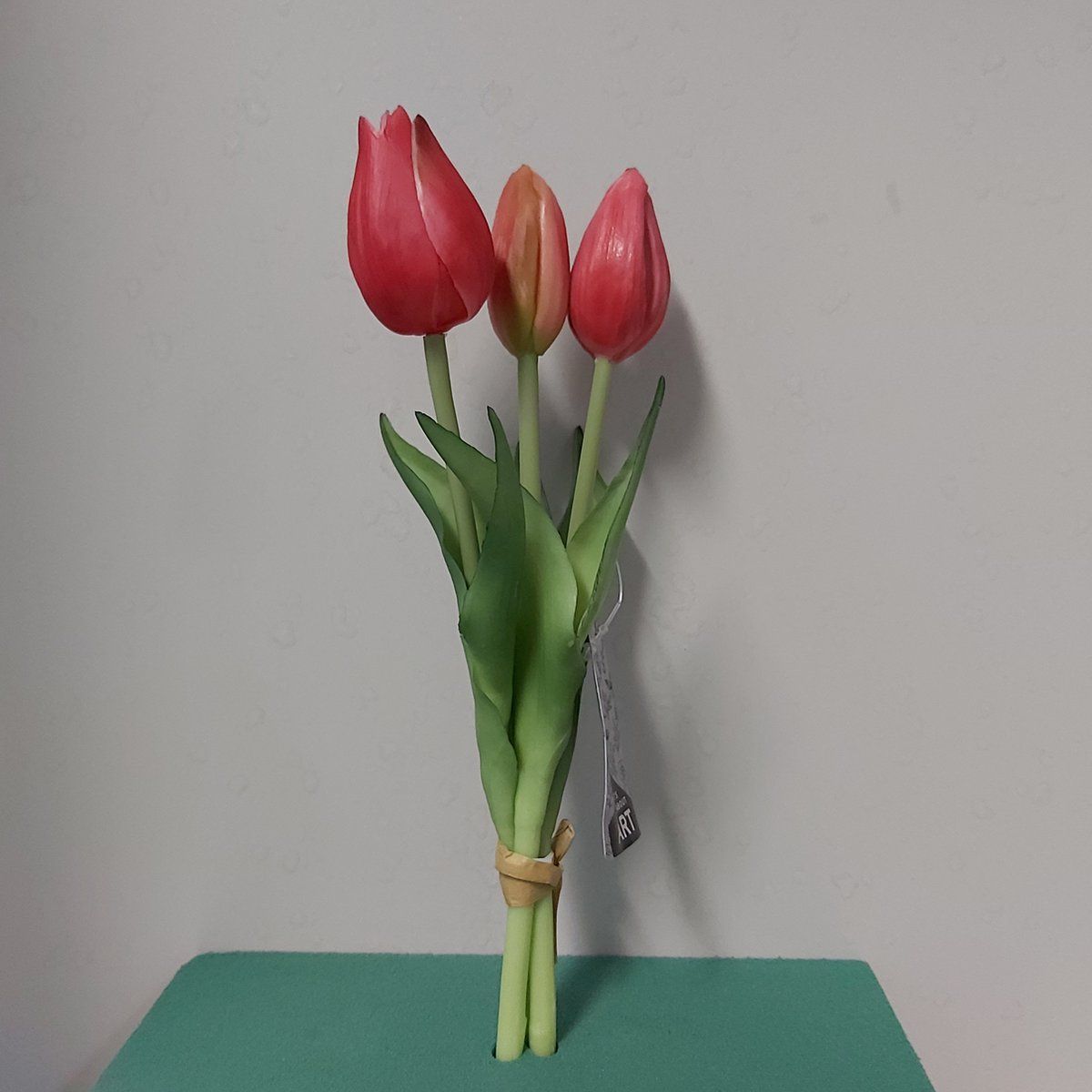 Holland tulp bundel Sally x3 25cm rood