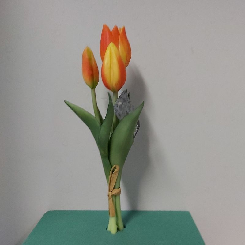 Holland tulp bundel Sally x3 25cm oranje