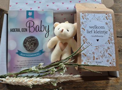 Welkom Baby brievenbus cadeau