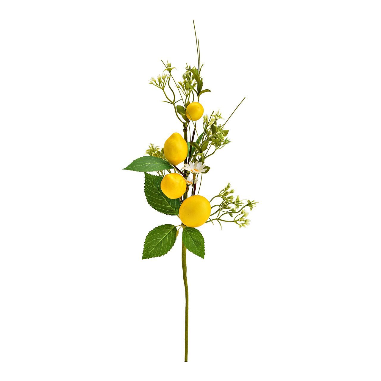 Kunstcitroentak, geel/groen (B/H/D) 18x45x8cm