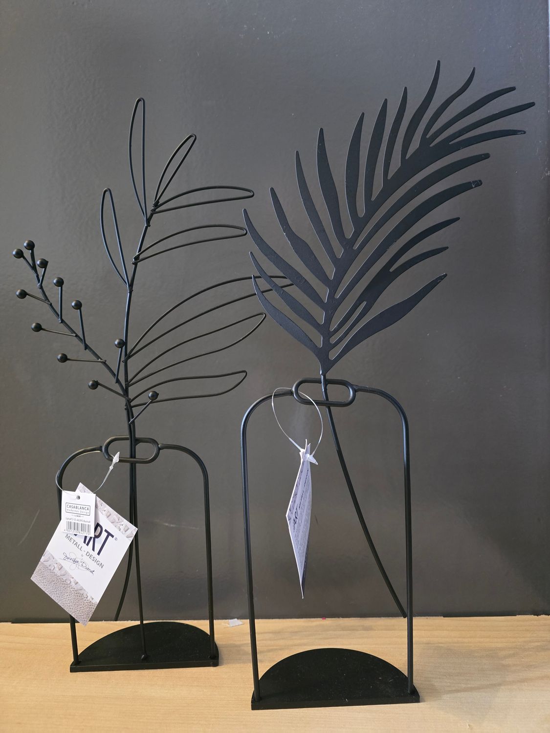2 luxe Zwarte planten op voet