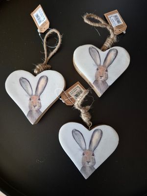 paashaas hanger hart