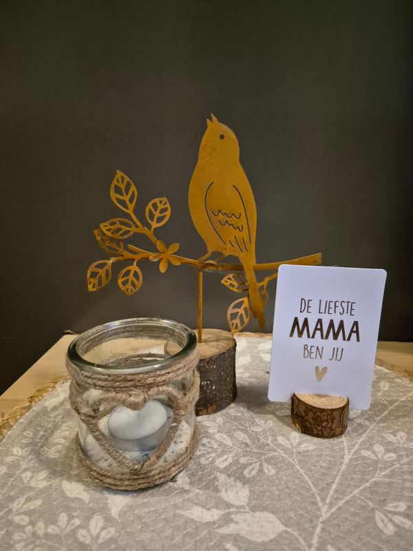 Mama vogel giftset