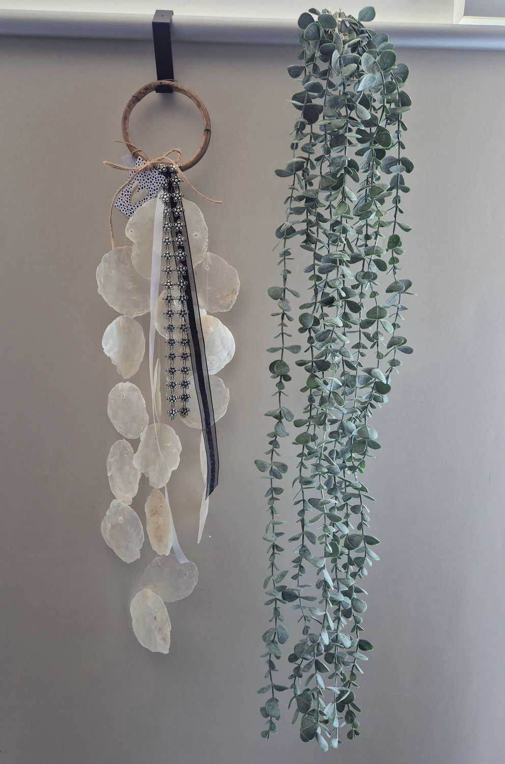 Zomerset eucalyptus en Schelpenhanger 