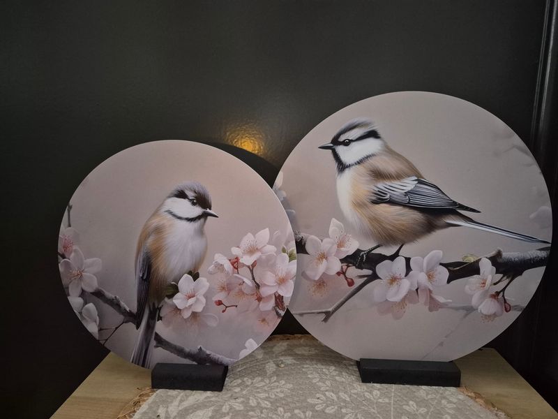 Wooncirkel bird set