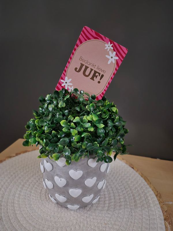 juffen cadeau- Betonnen hartjes bloempot