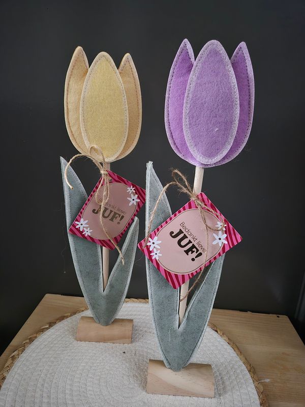 juffen  cadeau-tulp
