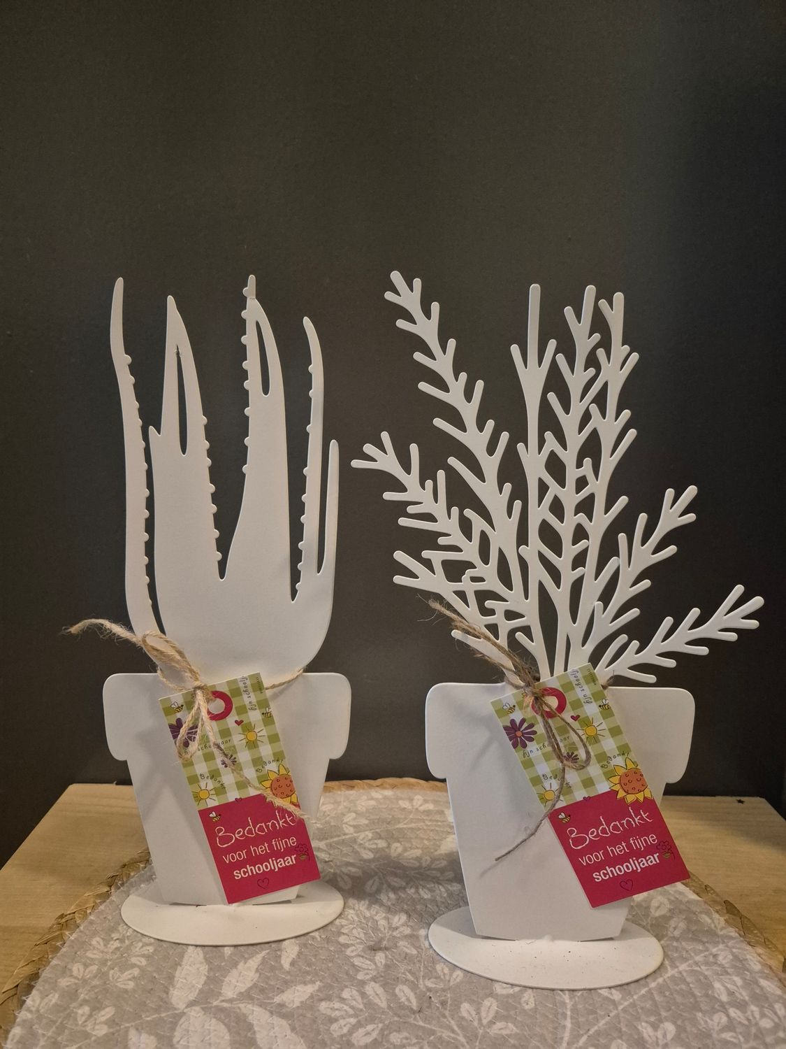 Plant voor de juf of meester
