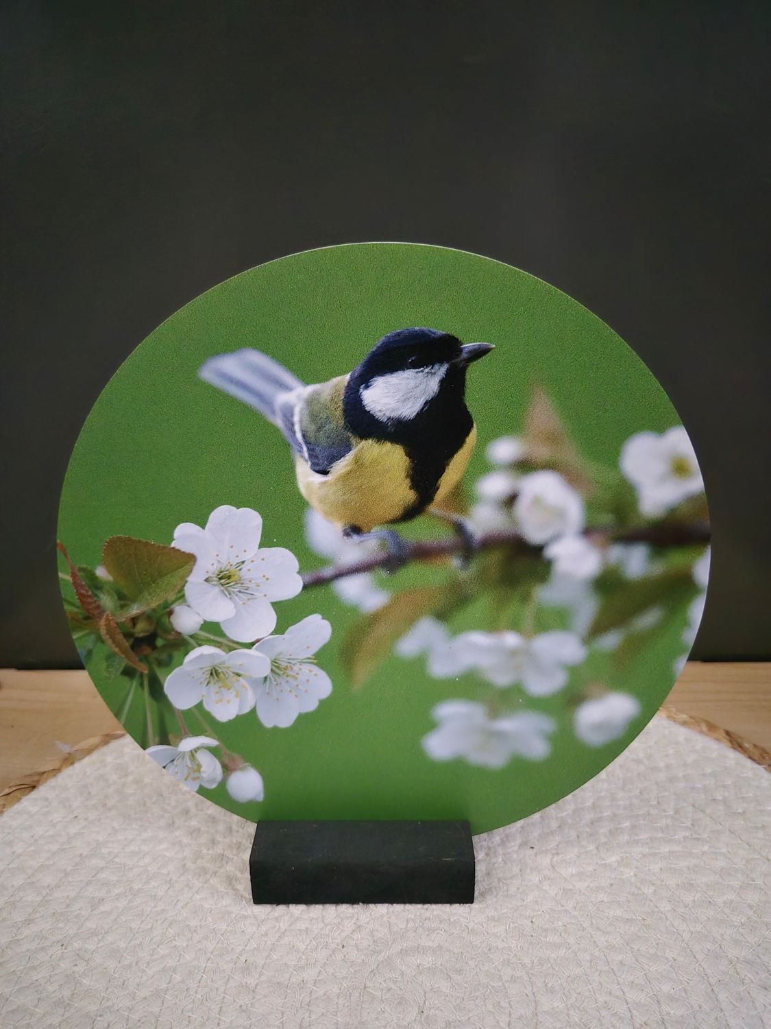 Wooncirkel vogel met bloesem