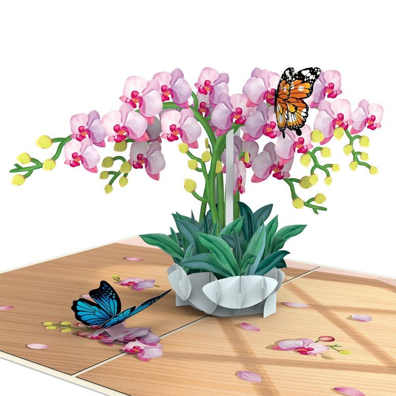 papercrush® Orchidee met vlinderpop-upkaart/wenskaart/vlinder/orchidee/cadeaubon/geldcadeau