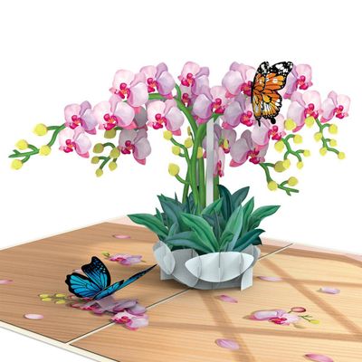 papercrush® Orchidee met vlinderpop-upkaart/wenskaart/vlinder/orchidee/cadeaubon/geldcadeau papercrush® Orchidee met vlinderpop-upkaart/wenskaart/vlinder/orchidee/cadeaubon/geldcadeau