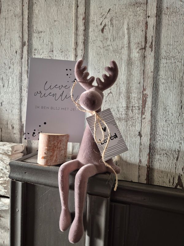 Vriendinnen rudolf cadeau