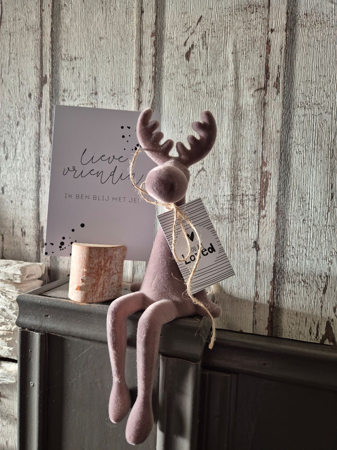 Vriendinnen rudolf cadeau