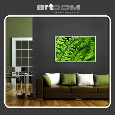 Папрат - Картина