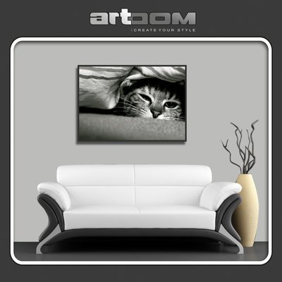 Коте - Картина