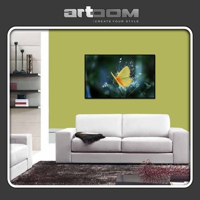 Пеперуда - Картина