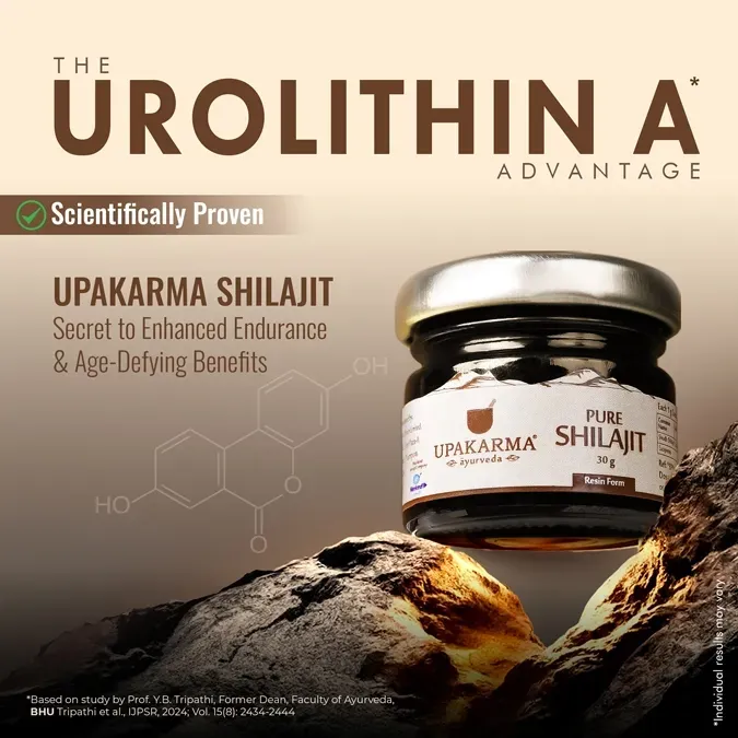 Pure Shilajit