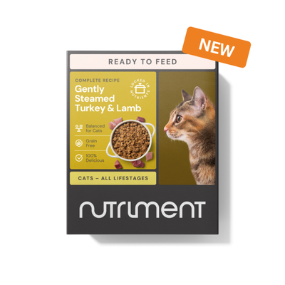 Gently Steamed Recipe - Turkey &amp; Lamb for Cats (395g)