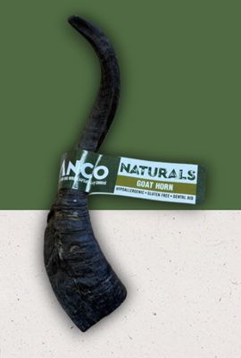 Anco Goat Horn (1)