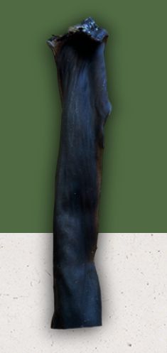 Anco Large Bully Stick (1)