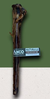 Anco Ostrich Metatarsus Bone (1)