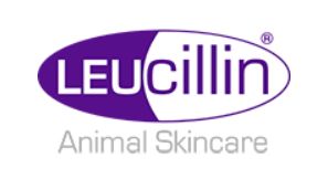 Leucillin Antiseptic Spray 60ml