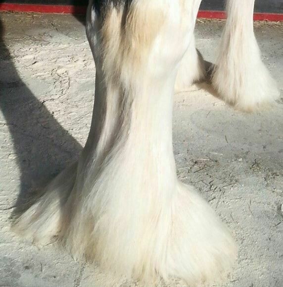 Matthew Burks Woodflour (25kg)
