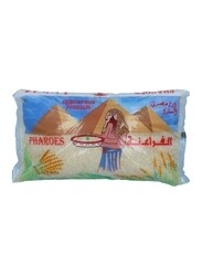 الأرز بانواعه